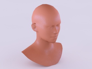 女性头部C4D模型