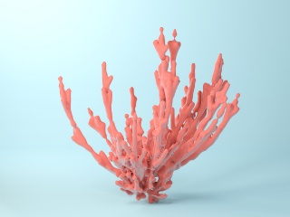 海洋生物珊瑚牛血C4D模型