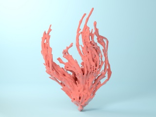 海洋生物珊瑚C4D模型
