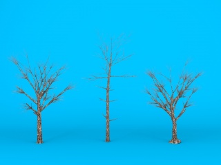 树支C4D模型