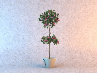 玫红花朵绿植C4D模型