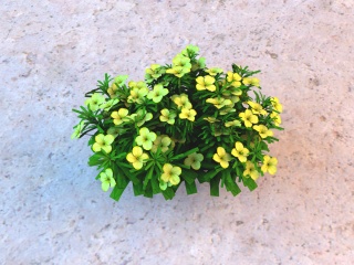 黄色四瓣花朵C4D模型