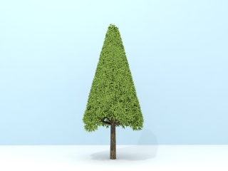 锥形大树C4D模型
