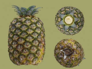 现代水果菠萝C4D模型