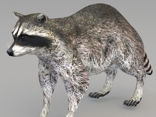 现代野生动物C4D模型