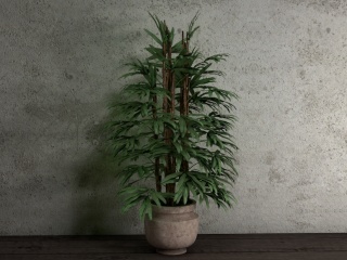 家居盆栽植物C4D模型