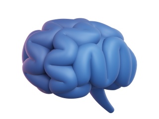 卡通医疗图标大脑C4D模型