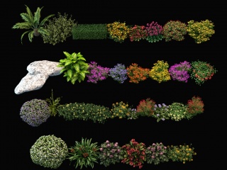 植物花丛C4D模型