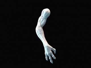 生物手臂C4D模型