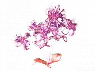 立体粉色玻璃质感花朵C4D模型