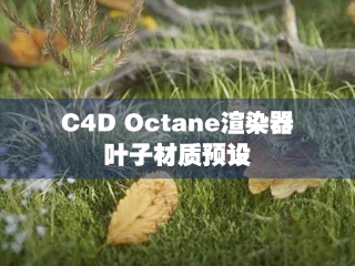 C4D Octane渲染器叶子材质预设 Gumroad – Leaves Shaders Pack #1 for C4D插件下载