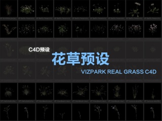 C4D预设 花草预设VIZPARK Real Grass C4D插件下载