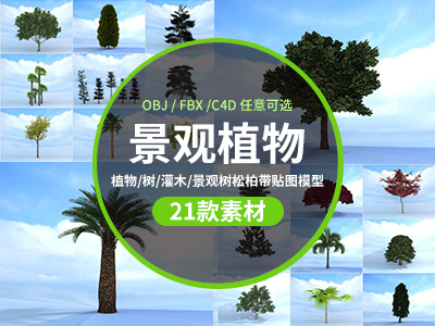 21个植物 树 灌木 景观树松柏带贴图模型C4D模型