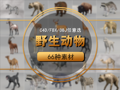 野生动物C4D模型