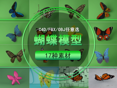 蝴蝶模型C4D模型