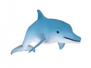 卡通海豚模型带骨骼动画C4D模型
