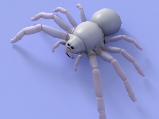 蜘蛛C4D模型