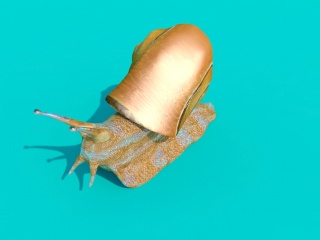 蜗牛C4D模型