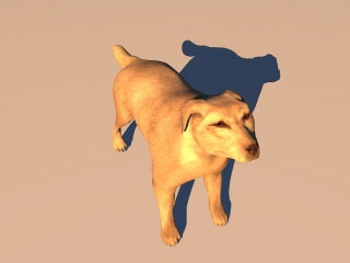 狼狗C4D模型