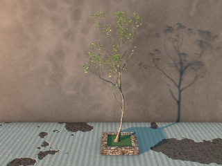 庭院树C4D模型