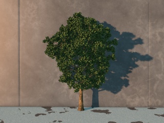 园林树C4D模型