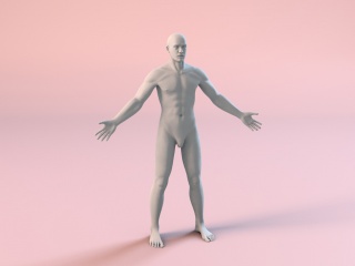 男人体模特C4D模型