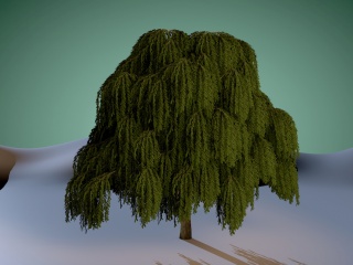 柳树C4D模型