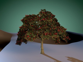 合欢树C4D模型