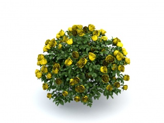 黄色玫瑰花C4D模型