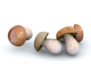 蘑菇C4D模型