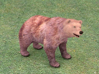 狗熊C4D模型