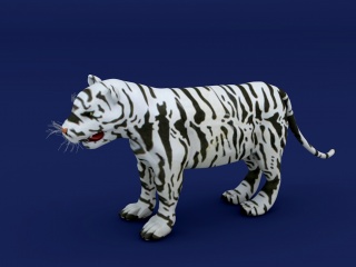 白虎老虎C4D模型