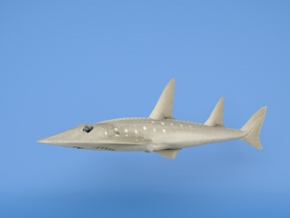 尖头鱼C4D模型