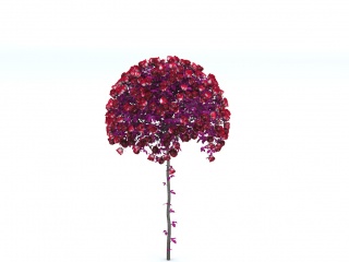 仿真花玫瑰花球树C4D模型