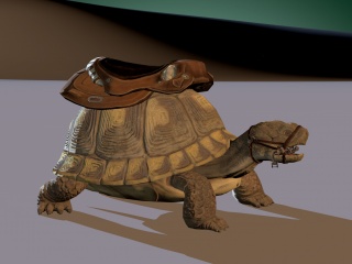 乌龟C4D模型