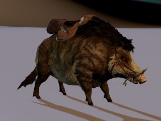 野猪C4D模型