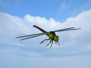 绿蜻蜓C4D模型