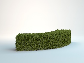 绿色植物C4D模型