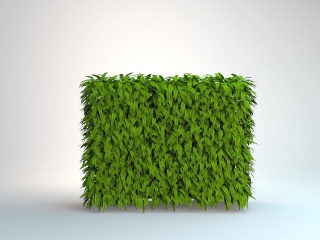 绿植墙C4D模型