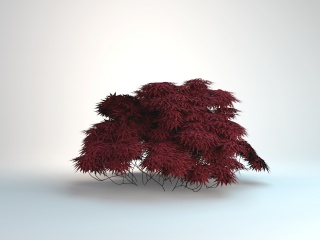 红色装饰灌木C4D模型