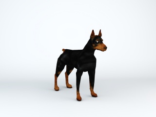 猎犬C4D模型
