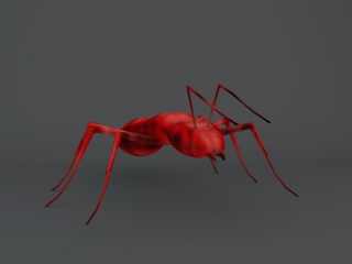 红蜘蛛C4D模型