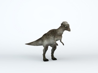 小型恐龙C4D模型