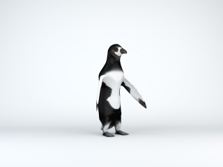 企鹅C4D模型