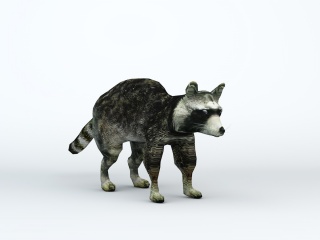 小浣熊C4D模型