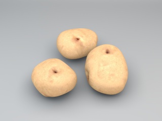 土豆C4D模型