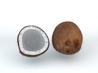 椰子外壳C4D模型