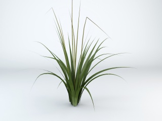 绿色植物草C4D模型
