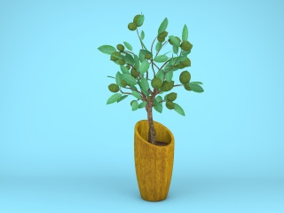 槟郎盆栽C4D模型