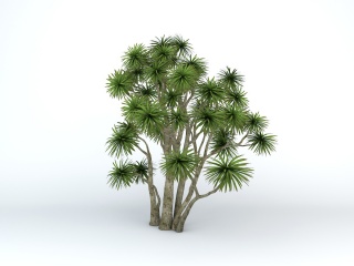 绿化灌木C4D模型